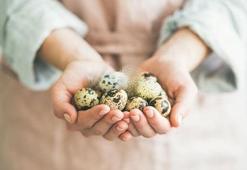 Bıldırcın yumurtasının bilinmeyen 10 faydası