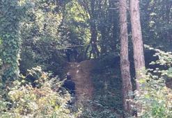 Çifte cinayet! Eşini ve yakın arkadaşını öldürdü