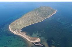 Ayvalık Çiçek adası kimin? Çiçek Adası’nın sahibi kimdir? Çiçek Adası nerede, Ayvalık’ta hangi mahalleye bağlı?