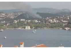 Beykoz'da orman yangını! Orman yangını neden çıktı, belli mi?