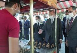 Cumhurbaşkanı Erdoğan Beşiktaş'ta kestaneciye uğradı