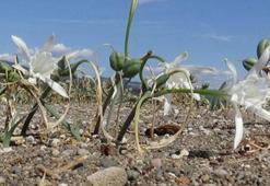 'Koparma' cezası 73 bin lira!