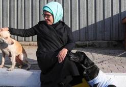 Emine Erdoğan, engelli köpek 'Leblebi'yi sahiplendi