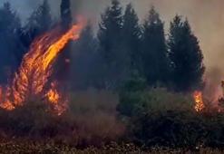 Hatay’daki yangında sabotaj açıklaması!
