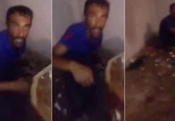 Kedilere işkence yaparak öldürdüğü iddia edildi!
