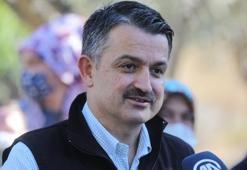 Bakan Pakdemirli 'müjde' diyerek duyurdu!
