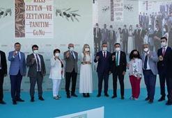 Oylum Höyük'te Zeytin ve Zeytinyağı Tanıtım Günü düzenlendi