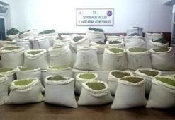 Diyarbakır'da 994 kilo esrar ele geçirildi