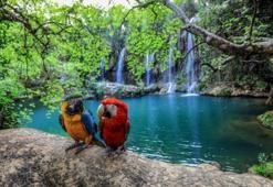 Çocuklar doğanın dilini TÜBİTAK projesiyle öğreniyor