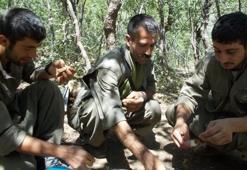 Diyarbakır ve İstanbul'u kana bulayacaklardı! Yakalandılar