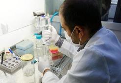 Vücut savunma sistemini enfeksiyonlara karşı koruyan vitamin geliştirildi