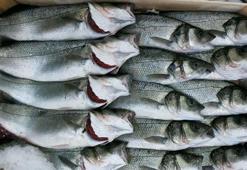“Hamile, yaşlı ve veganların iyot tüketmesi şart”