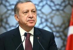 Cumhurbaşkanı Erdoğan'dan Wilders hakkında suç duyurusu