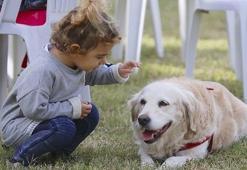 Araştırma köpeklerin insanların en eski hayvan dostu olduğunu gösterdi
