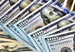 SDR (Özel Çekme Hakkı) nedir? Özel Çekme Hakkı nelerden oluşur?