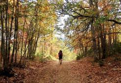 Türkiye'de tek! Randevusuz giriş yasak...