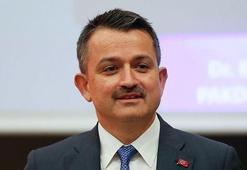 Bakan Pakdemirli duyurdu! Türkiye'den Çin'e ilk kez başladı