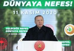 Cumhurbaşkanı Erdoğan canlı yayında müjdeyi verdi