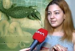 Evindeki 12 hayvana el konuldu! 'Satmadım, hepsi çocuğum gibi'