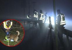 Ülkeyi dehşete düşüren olay! Ormanda kemik bulundu, yamyam yakalandı...