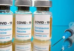 Pfizer-BioNTech aşısının Ocak ayında dağıtıma hazır