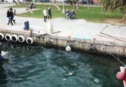 İstanbul Boğazı'nı denizanaları bastı! Yüzlerce...