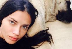 Adriana Lima'ya çağrı: 'Üçüncü kangal bizden olsun'