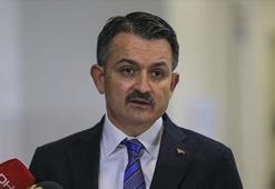 Bakan Pakdemirli duyurdu! Yüzde 511 arttı