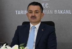 Bakan Pakdemirli'den destek açıklaması