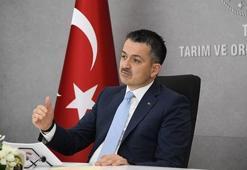 Bakan Pakdemirli: Türkiye net bir tarım ürünleri ihracatçısı ülke konumuna yükseldi