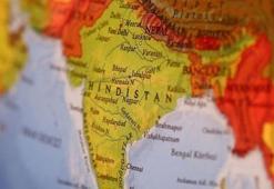 Hindistan'da gizemli hastalığın nedeni araştırılıyor