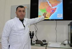'Önlem alınmazsa yumurtadaki çekirgeler 2021'de istilaya neden olur'