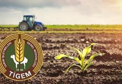 Tarım İşletmeleri (TİGEM) 145 personel alacak! İşte TİGEM personel alımı başvuru şartları