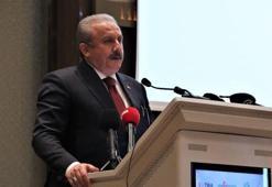 TBMM Başkanı Şentop: 'Türkiye güçlü bir devlettir'