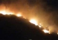 Hatay'da, 4 farklı noktada ağaçlık bölgede yangın