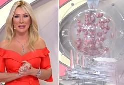 26 Aralık Çılgın Sayısal Loto sonuçları! İşte Çılgın Sayısal Loto sonucu!
