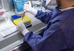 Bakan duyurmuştu! "PCR testi ibrazı zorunluluğu" uygulaması yarın başlayacak