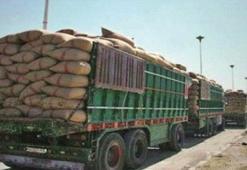 PKK satışa çıkardı! Suriye ve Irak'ta buğday hattı...