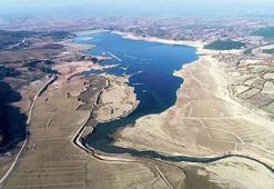 2 ayda bu hale geldi! Büyük tehdit...