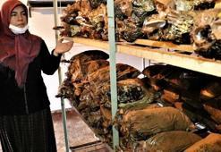 Ölümsüzlük mantarı! Kilosu 3 bin lira