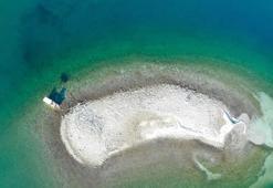 Koronadan korunmak için buraya yerleşti! Görüntüsüyle büyülüyor...