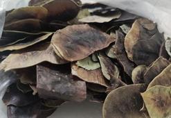 Hızlı kilo vermek için kullanılan açlık otuna dikkat!