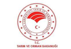 Tarım ve Orman Bakanlığı kura sonuçları açıklandı! İşte Tarım ve Orman Bakanlığı personel alımı sonuçları 2021