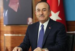 Bakan Çavuşoğlu'dan Avrupa Birliği ve vize açıklaması