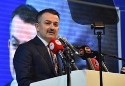 Bakan Pakdemirli: 2023 seçimleri karne zamanıdır