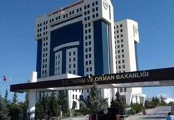 KPSS 2020/7 tercih kılavuzu güncellendi! Tarım ve Orman Bakanlığı personel alımı başvuru kılavuzu…