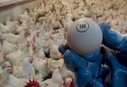 Yumurtada üretim düştü, fiyatlar arttı