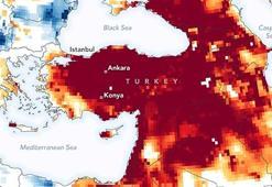 WWF'den kuraklık uyarısı! 10 şehir küresel yüksek risk listesinde