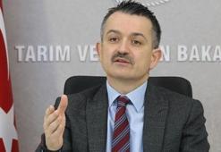 Gıda fiyatlarıyla ilgili flaş açıklama! Bakan duyurdu