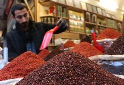 Şanlıurfa'ya 'İsot Müzesi' kurulacak! Çalışmalara başlandı